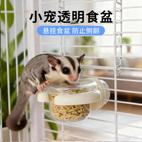 蜜袋鼯喂食器喂水器食盆喂粮