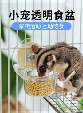 蜜袋鼯亚克力食盆喂食器水碗食碗可悬挂式透明餐台小蜜专用餐具