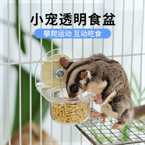 蜜袋鼯亚克力食盆喂食器水碗食碗可悬挂式透明餐台小蜜专用餐具