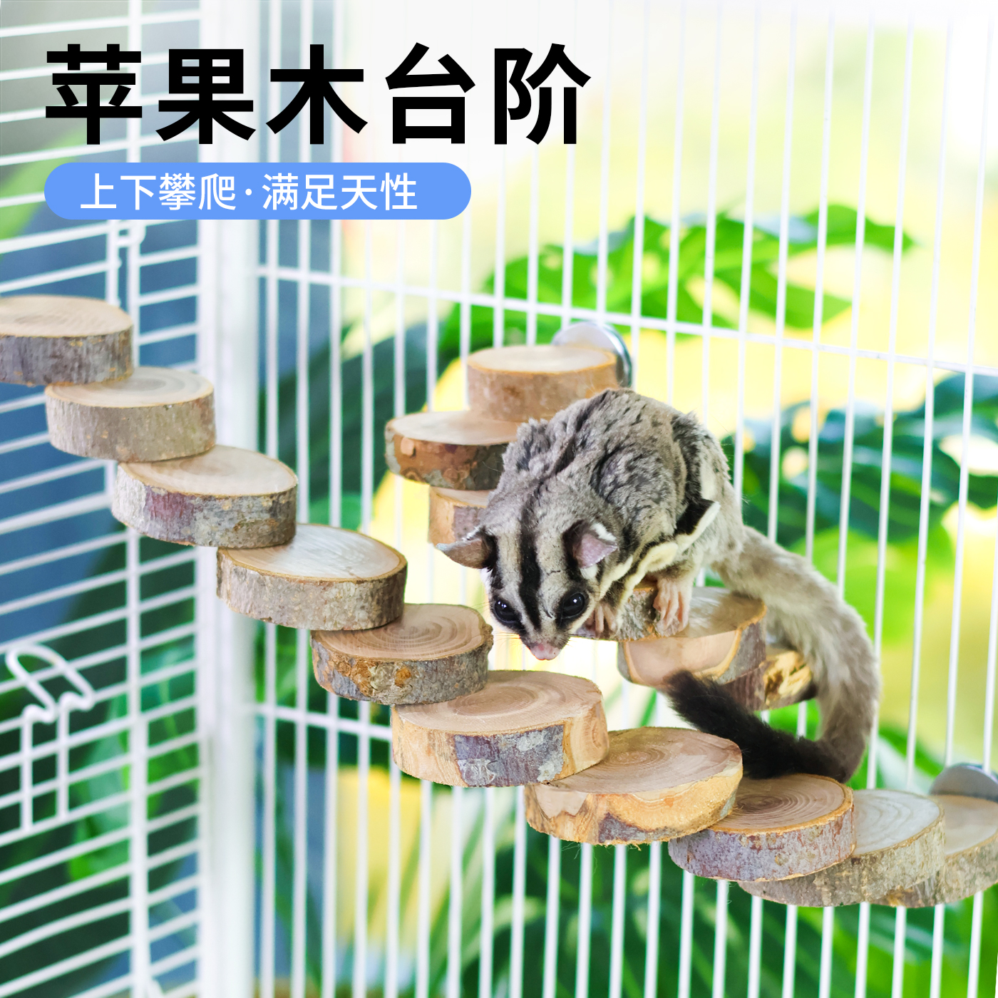 蜜袋鼯攀爬苹果木阶梯玩具旋转梯台阶楼梯飞鼠笼内趣味娱乐健身