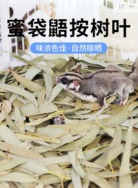 蜜袋鼯桉树叶烘干垫料垫材小蜜用品飞鼠专用垫材天然烘干桉树叶