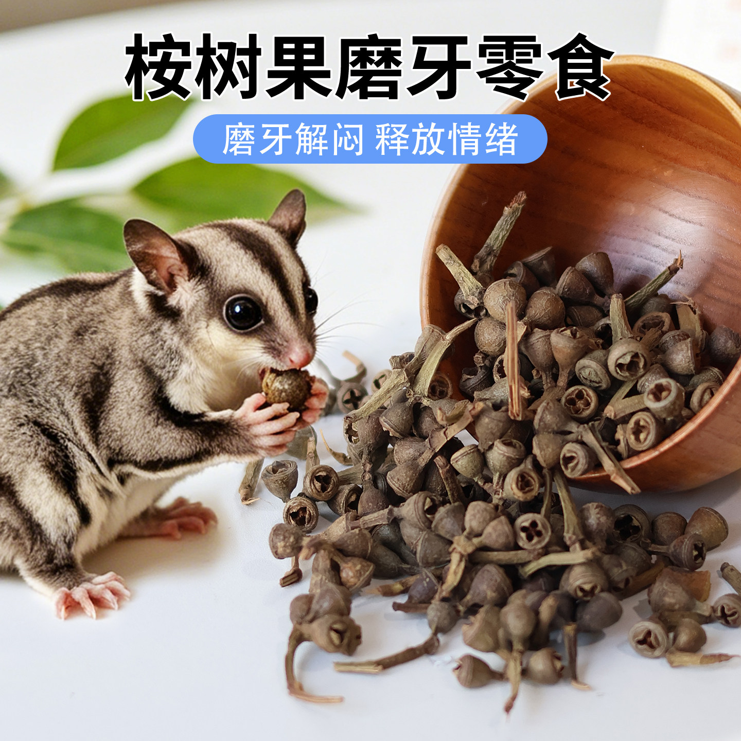 蜜袋鼯桉树果磨牙零食解闷自嗨玩具天然磨牙解闷零食磨牙解闷