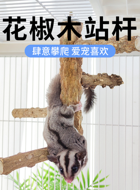蜜袋鼯攀爬玩具花椒木站杆跳台蜜袋鼬爬绳子松鼠笼子用品小蜜站棍