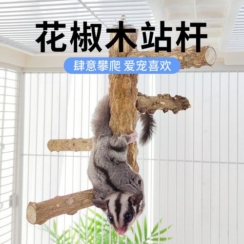LEDA蜜袋鼯攀爬玩具花椒木站杆