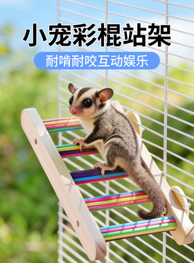 密袋鼯彩棍站架多功能攀爬飞鼠休息平台玩具笼内跳台啃咬玩具