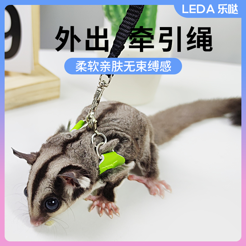 蜜袋鼯松鼠专用牵引绳防上树