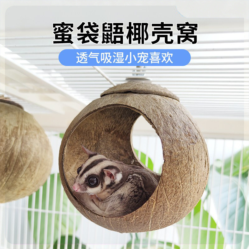 蜜袋鼯窝夏季专用椰子窝椰壳窝图片