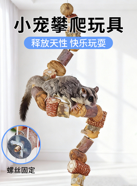 蜜袋鼯攀爬玩具花椒木坚果啃咬挂串蜜袋鼬飞鼠原木磨牙解闷可悬挂