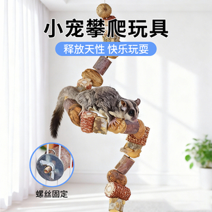 蜜袋鼯攀爬玩具花椒木坚果啃咬挂串蜜袋鼬飞鼠原木磨牙解闷可悬挂
