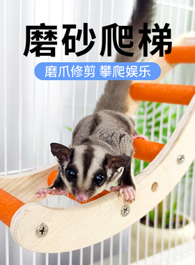 蜜袋鼯玩具小宠站杆梯木梯子互动爬梯磨爪指甲攀爬绳趣味玩具用品