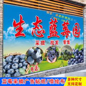 蓝莓采摘园广告新鲜蓝莓采摘海报定制果园采摘喷绘布海报贴纸自粘