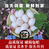 顺丰空运新鲜鸽子蛋包邮陈氏正品鸽蛋农家散养白鸽蛋30枚个装|ru