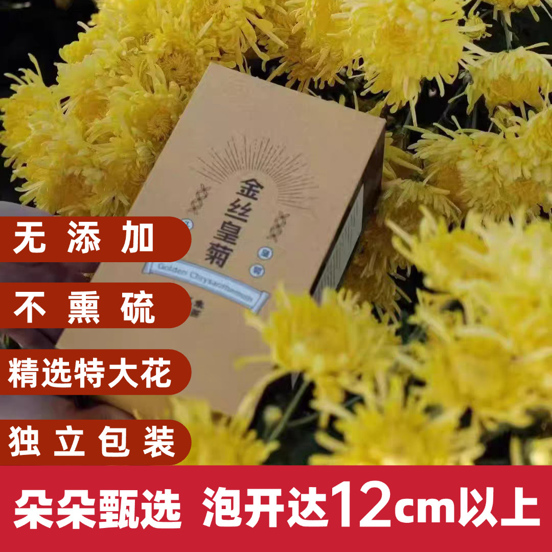丸木制金丝皇菊茶便携菊花泡水花茶熬夜养生茶代用茶养生组合泡水