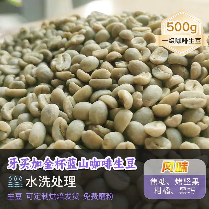牙买加金杯庄园蓝山1号水洗定制烘焙新产季香浓精品咖啡生豆500g