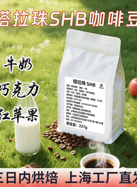 哥斯达黎加塔拉珠水洗咖啡豆中浅烘焙手冲soe意式美式研磨咖啡粉