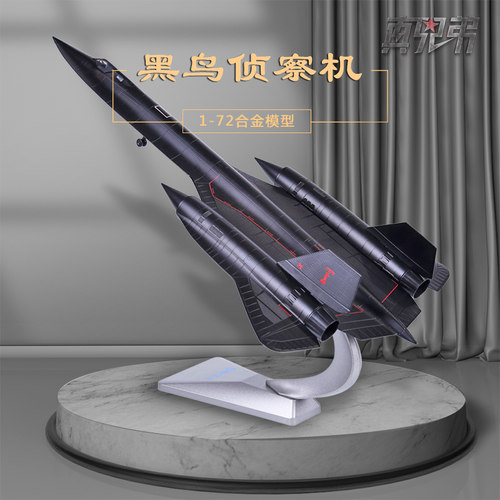 真兄弟172黑鸟侦察机