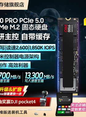 三星9100PRO 1TB台式机PC笔记本PS5电脑NVMe PCIe5.0 M.2固态硬盘