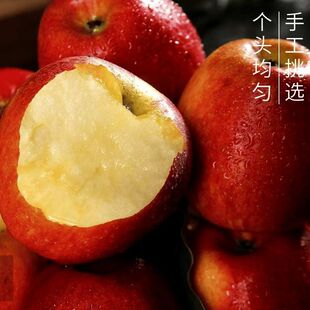 云南高山红露苹果正宗脆甜新鲜苹果当季 水果整箱直发 乌蒙岩洞
