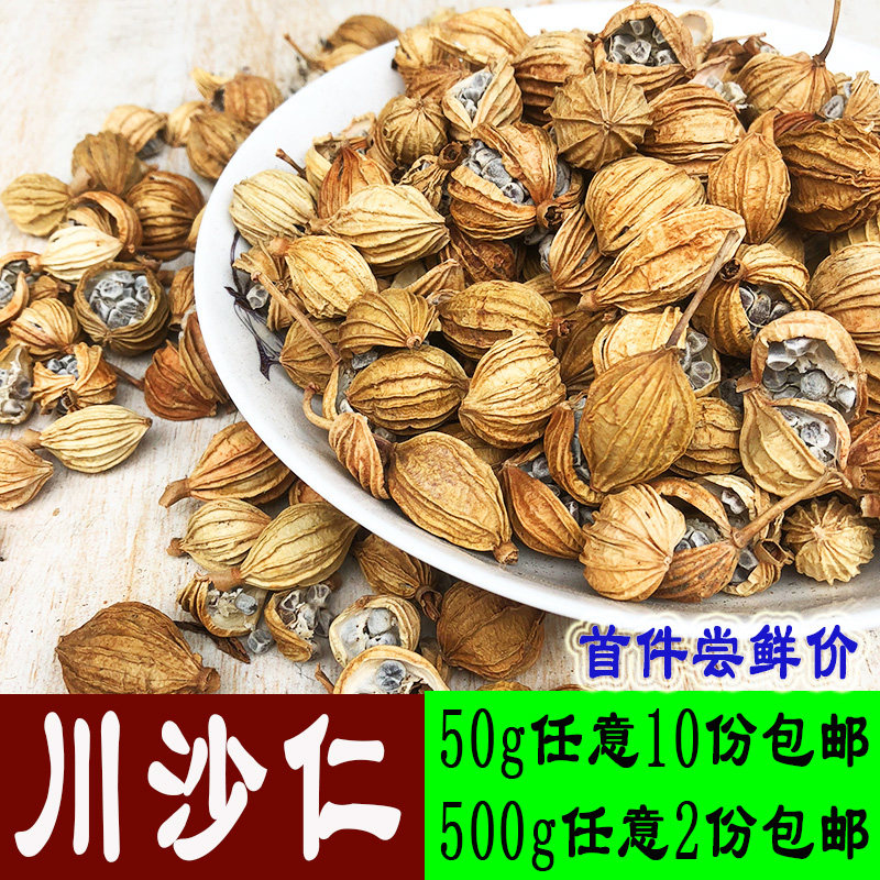 50g砂仁香砂仁香料沙仁野生川沙仁果正宗卤肉料火锅香料调料