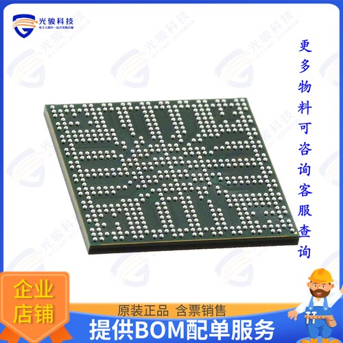 DM385AAARD21F集成电路IC DGTL MEDIA PROCESSOR 609FCBGA