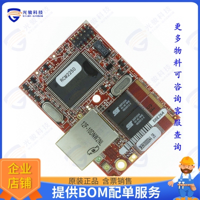 20-101-0494集成电路IC MOD RABBIT 2000 22.1MHZ 512KB