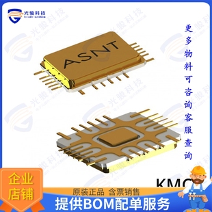 件34GB 射频元 LINEAR DIFF. DETECTOR ASNT8121 PHASE KMC