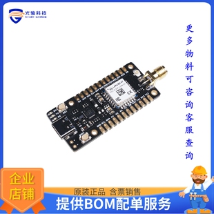 射频无线开发板113990939《WIO-E5 MINI DEV BRD STM32WLE5JC》