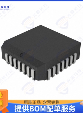 AT89C51CC02CA-SISUM集成电路IC MCU 8BIT 16KB FLASH 28PLCC