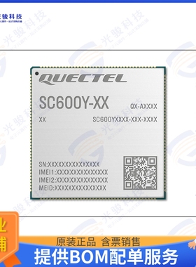 SC600YJPPA-E53-TA0AA 射频元件RF TXRX MOD BT NAV WIFISMD