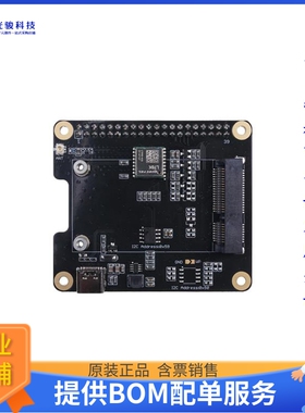 开发板扩展板113100022《WM1302 RASPBERRY PI HAT》