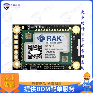 RAK4631-8-WB-I 射频元件WISBLOCK CORE MODULE FOR LORAWAN