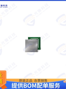 GM02P-GP02RBAQRF 射频元件RF TXRX MOD CELL TH SMD