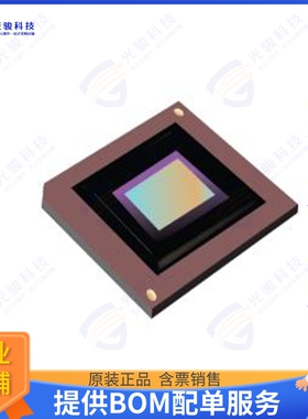DLP670REA0FYE集成电路IC DIG MICROMIRROR DEV 350-CPGA