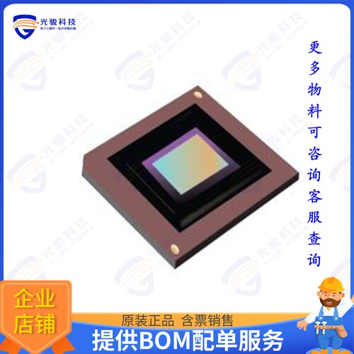 DLP670REA0FYE集成电路IC DIG MICROMIRROR DEV 350-CPGA