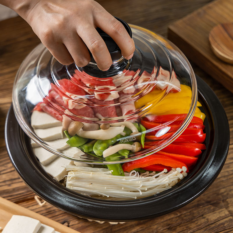 hario进口煲仔饭煮粥炖汤锅