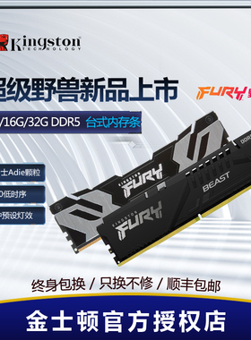 金士顿叛逆者DDR5 16G/32G 6000/7200台式内存海力士adie超级野兽