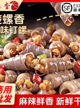 香辣钉螺海螺丝500g香辣海锥醉钉锥麻辣海鲜即食罐装海鲜冷冻熟食