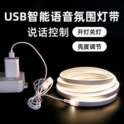 usb带开关霓虹灯5V语音款防水暖光房间装饰造型氛围灯带led软灯条
