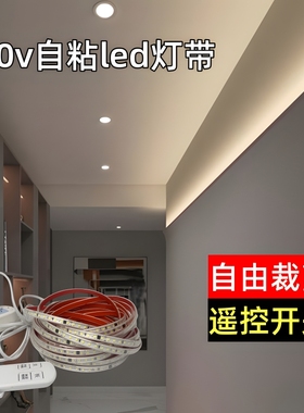 超亮220v自粘遥控led灯带插电就亮超薄软灯带线条灯线槽展柜贴片