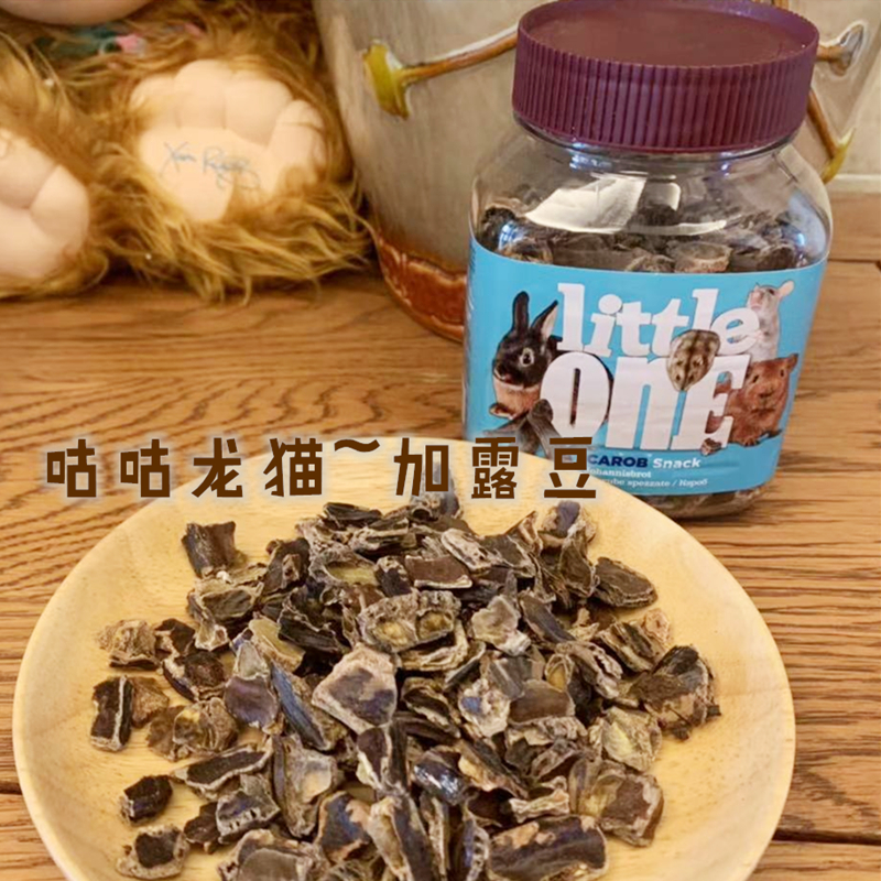 进口龙猫加露豆美毛金丝熊