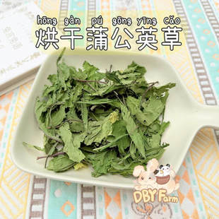 30g 兔子龙猫豚鼠专用 烘干优质蒲公英干草 消炎杀菌清热下火