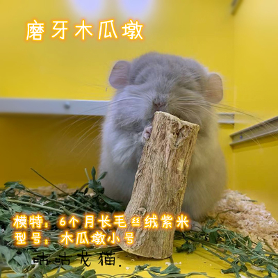 磨牙木墩天然坚硬种规格龙猫