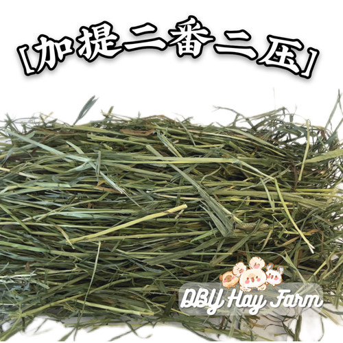 24年进口赛级提摩西草 美提加提兔兔豚鼠龙猫主草