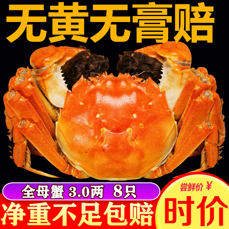 大闸蟹裸蟹8只湖中明珠3两
