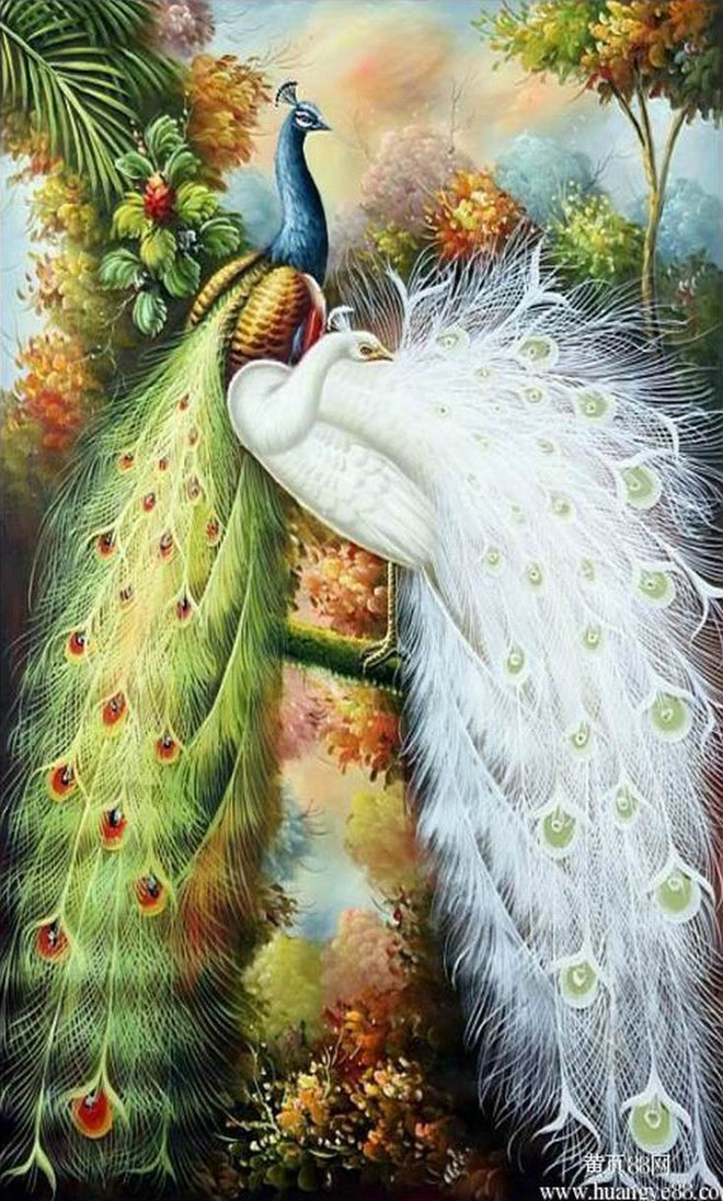 精准印花新款dmc绣线油画孔雀