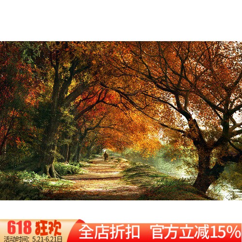 包邮新款精准印花DMC十字绣正品 客厅大画 风景 永远的秋天