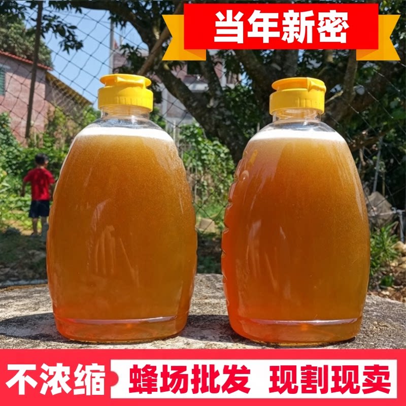 土蜂蜜纯正天然农家自产正宗原蜜荔枝蜜2斤装正品非结晶蜜百花蜜