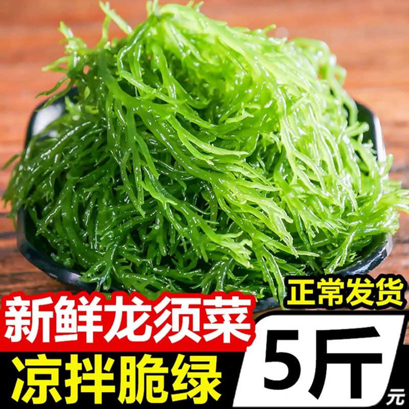 盐渍龙须菜海草新鲜商用凉拌海藻菜石花菜麻辣烫火锅食材海洋蔬菜