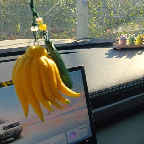 金华佛手柑 佛手果 汽车挂件 佛手柑手作 迷你佛手柑 佛手鲜果