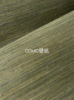 ARTE比利时进口天然苎麻编织墙纸52400 52401 52402 52403 52404